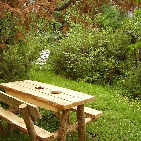 Hosteria Brisas Del Cerro Villa La Angostura Zewnętrze zdjęcie